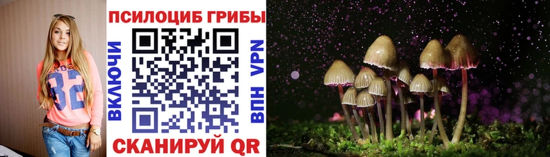 Псилоцибиновые грибы Psilocybine cubensis  гидра ONION  Пущино 